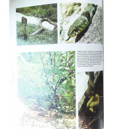 The Children's Encyclopedia of Animal Life Inside Page 1