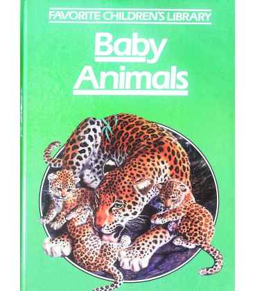 Baby Animals