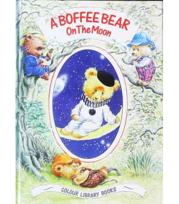 A Boffee Bear on the Moon