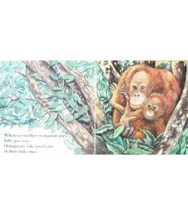 Orangutan Inside Page 1