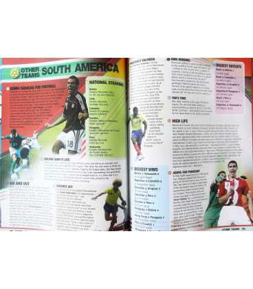 World Football Records 2013 Inside Page 2
