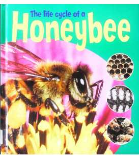 The Life Cycle of a Honeybee