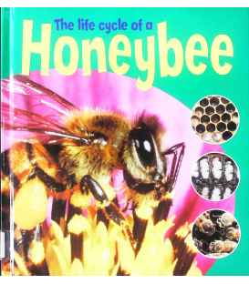 The Life Cycle of a Honeybee