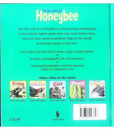 The Life Cycle of a Honeybee Back Cover