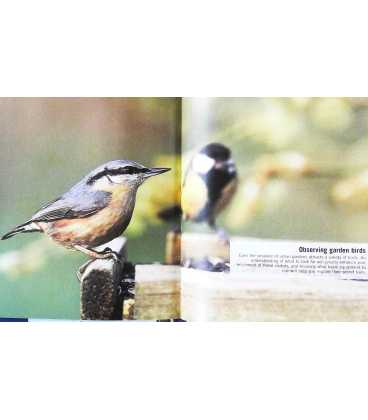 Pocket Birdfeeder Guide Inside Page 1