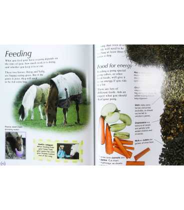 My Horse & Pony Book Inside Page 1