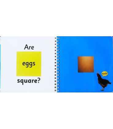 Are Eggs Square? (My First) Inside Page 1