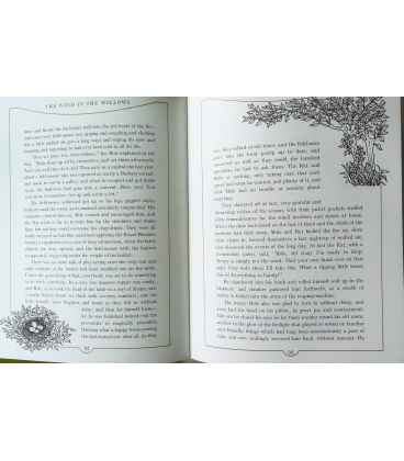 The Wind in the Willows Inside Page 2