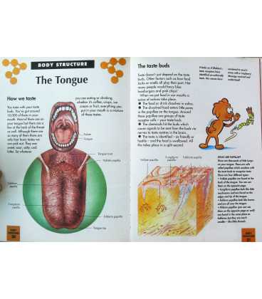 The Nose and Tongue (How My Body Works) Inside Page 2