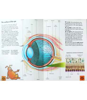 The Eyes (How My Body Works) Inside Page 1