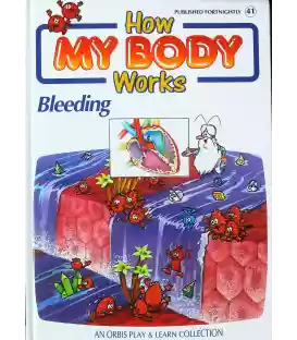Bleeding (How My Body Works)