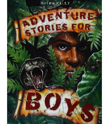 Adventure Stories for Boys