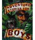 Adventure Stories for Boys