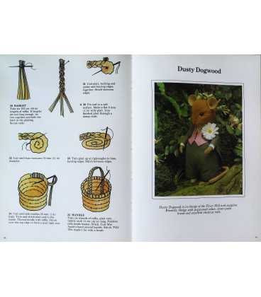 The Brambly Hedge Pattern Book Inside Page 1