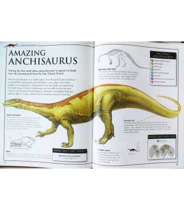 Small & Scary (Discovering Dinosaurs) Inside Page 1