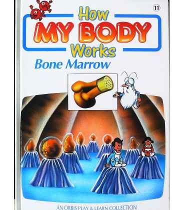 Bone Marrow (How My Body Works)