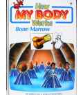 Bone Marrow (How My Body Works)