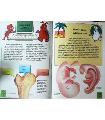 Bone Marrow (How My Body Works) Inside Page 2