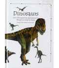 Dinosaur Question And Answer Book