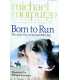Born to Run (The many lives of one incredible dog)