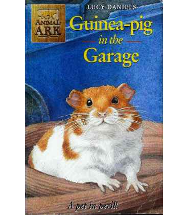 Guinea Pig in the Garage