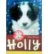 Holly: The Doorstep Puppy