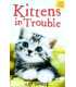 Kittens in Trouble