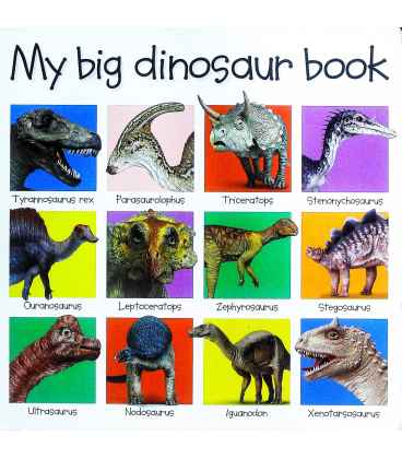 My Big Dinosaur Book