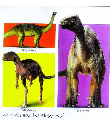 My Big Dinosaur Book Inside Page 1