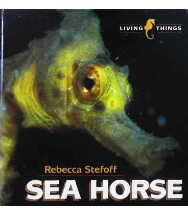 Sea Horse