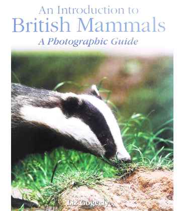 British Mammals