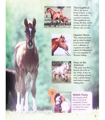 My First Pony Inside Page 2