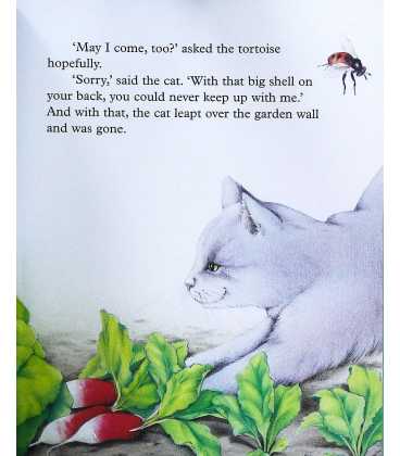 A Home For Little Tortoise (Little Animal Adventures) Inside Page 1