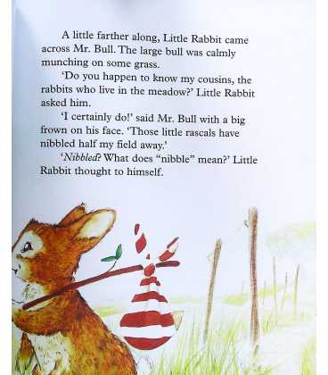 The Travelling Little Rabbit (Little Animal Adventures) Inside Page 2