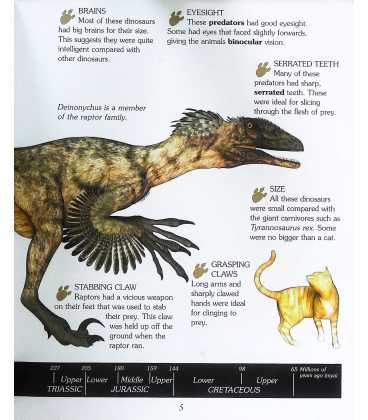 Velociraptor and other Raptors and Small Carnivores Inside Page 1