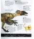 Velociraptor and other Raptors and Small Carnivores Inside Page 1