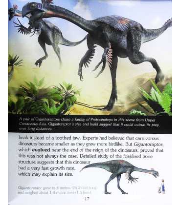Velociraptor and other Raptors and Small Carnivores Inside Page 2