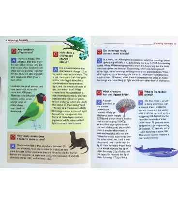 Fascinating Facts and Curious Questions Inside Page 2