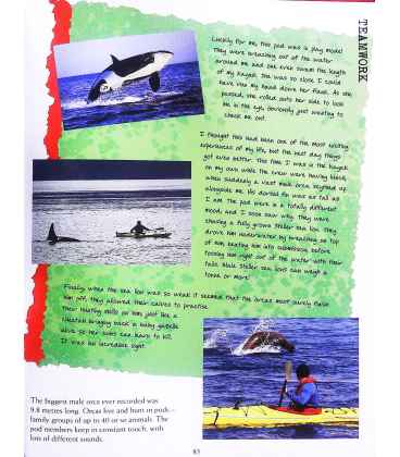 Predators Inside Page 2