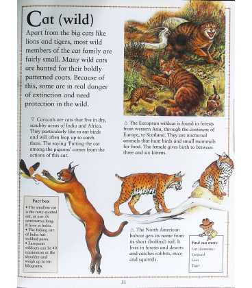 First Encyclopedia of Animals Inside Page 1
