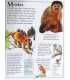First Encyclopedia of Animals Inside Page 2