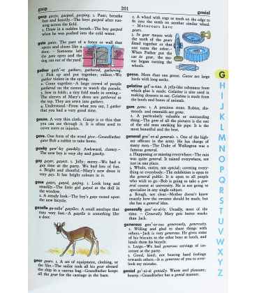 The Giant All-Colour Dictionary Inside Page 2