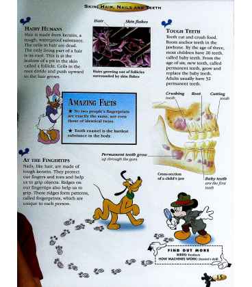 The Human Body (The Wonderful World of Knowledge) Inside Page 2