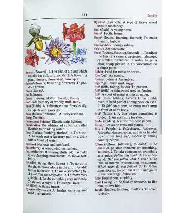 The Oxford Illustrated Dictionary for Children Inside Page 2