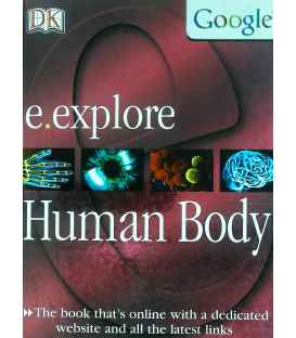 Human Body