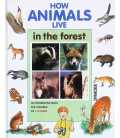 How Animals Live in the Forest