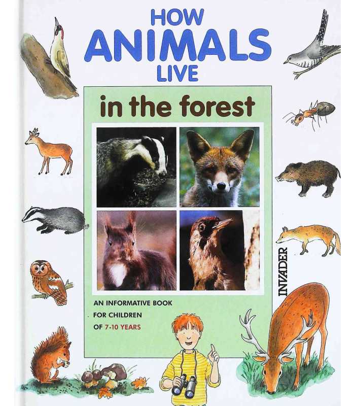How Animals Live in the Forest | 9781851296200