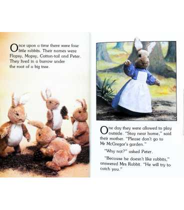 The Tale of Peter Rabbit  Inside Page 1