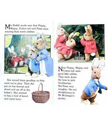 The Tale of Peter Rabbit  Inside Page 2