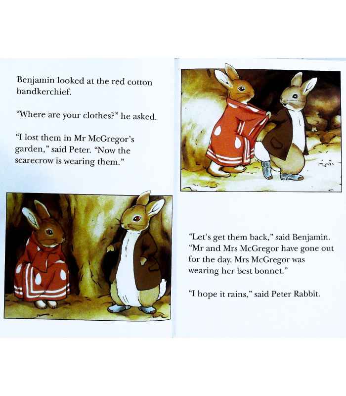 the adventures of peter rabbit & benjamin bunny